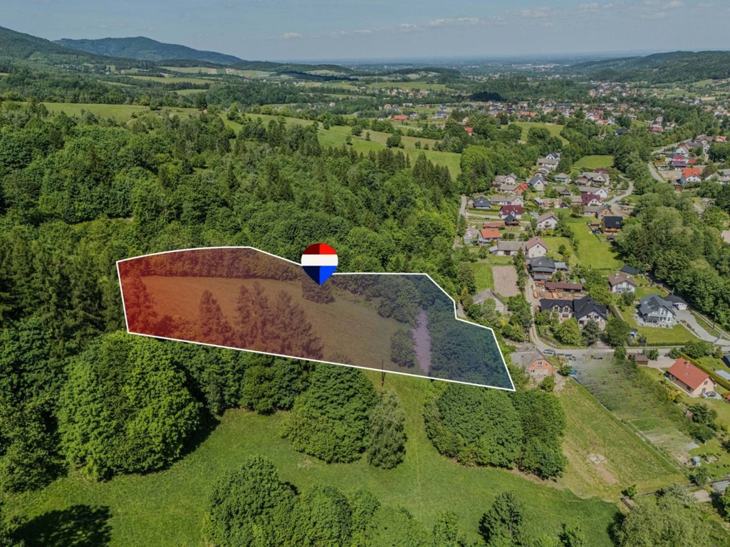 Działka leśna Rzyki - Widok 6