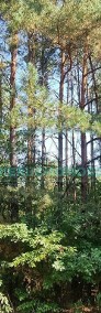 Piękana działka w otulinie lasu-4