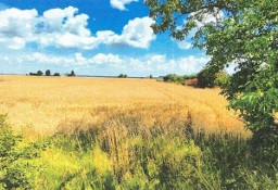 Syndyk sprzeda działkę rolną w Przydatkach Gołaszewskich