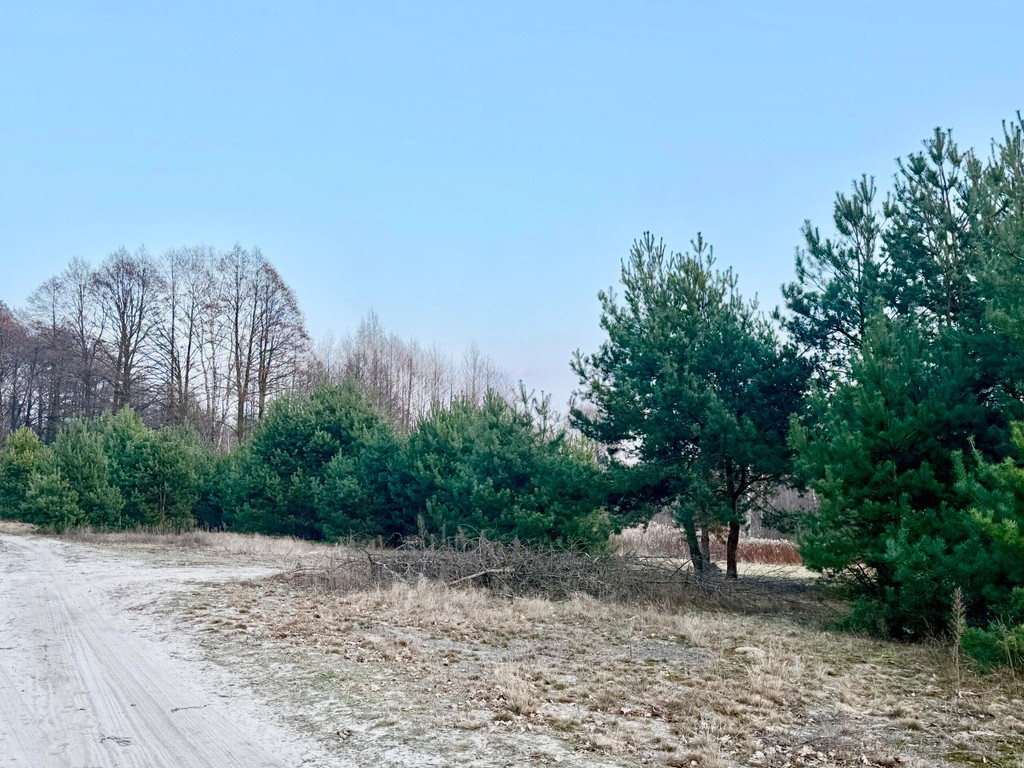 Zagościniec - zabud.wolnost. i bliźn. blisko szkoły, możl. podziału – pohled 2