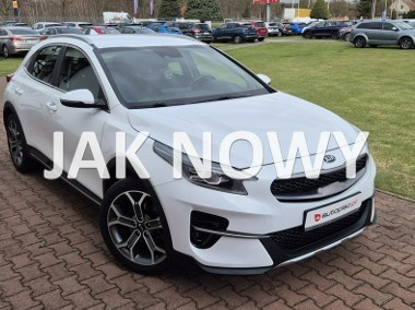 Kia Xceed KAMERA-HAK-LED-MEDIA-1