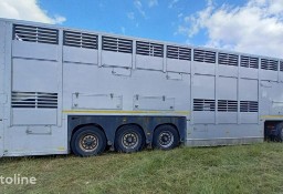 Gray&amp;Adams naczepa do przewozu zwierząt Gray Adams GADD3 - Do przewozu zwierząt - 2 poziomy Gray&amp;Adams GADD3 Gray Adams GADD3 - Do przewozu ...