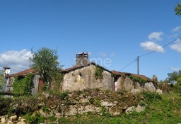 Dom Viana Do Castelo