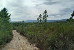 Działka inna Santo André Das Tojeiras