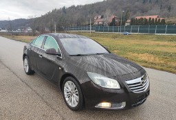 Opel Insignia I 2.0 BITURBO 194 KM 4x4 AUTOMAT