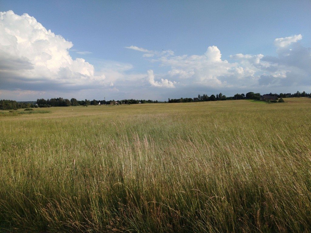 Działka Rolno-Budowlana 1,44 HA - Widok 5