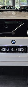 Seria 3 320d xDrive M Sport Shadow sport-3