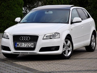 Audi A3 II (8P) 1,8 Benz 160KM Lift S-Line Xenon Led Navi Skóry PDC Alufelgi Serwis-1