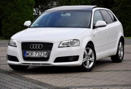Audi A3 II (8P) 1,8 Benz 160KM Lift S-Line Xenon Led Navi Skóry PDC Alufelgi Serwis