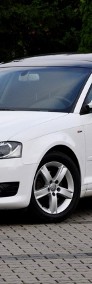 Audi A3 II (8P) 1,8 Benz 160KM Lift S-Line Xenon Led Navi Skóry PDC Alufelgi Serwis-3
