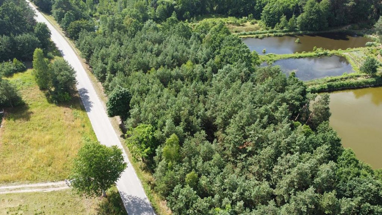 Działki budowlane w malowniczej części Przyłęka. - Widok 2