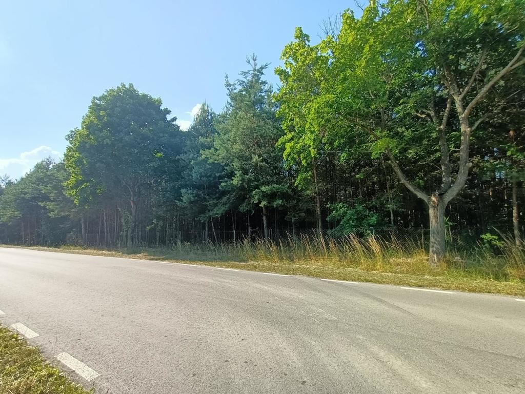Działki budowlane w malowniczej części Przyłęka. - Więcej