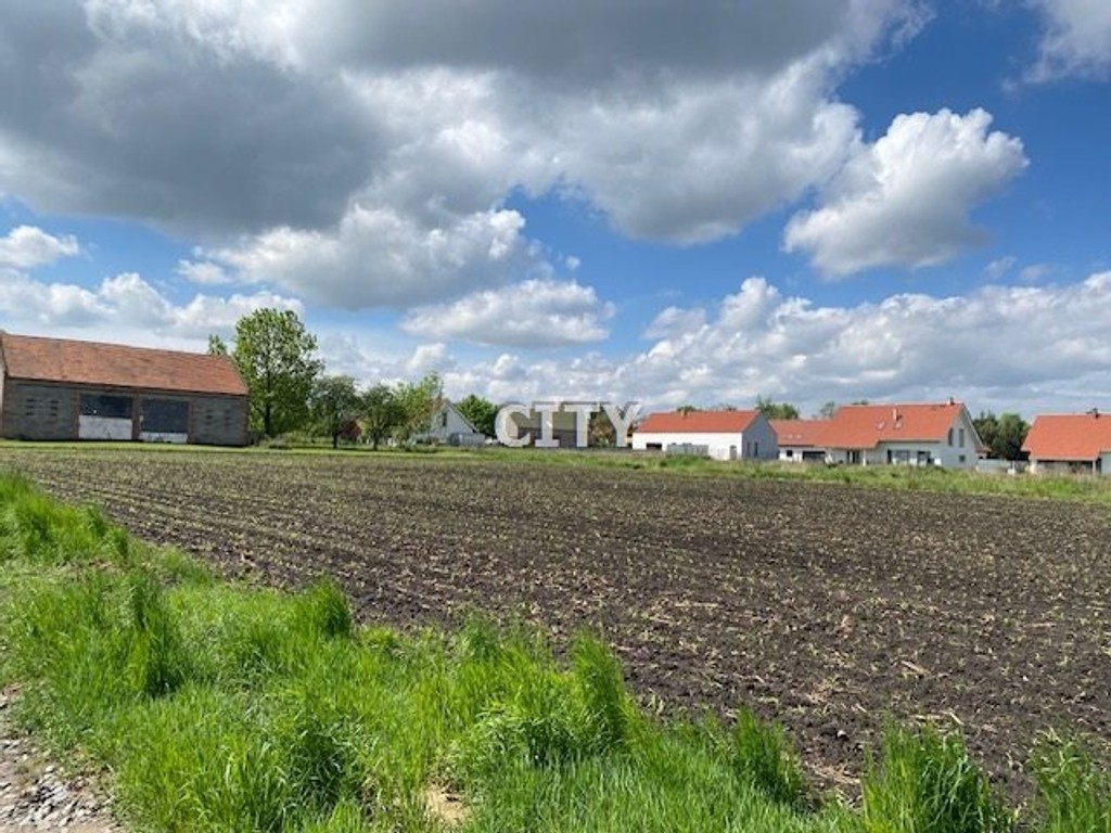 Działka budowlana Żórawina/Polakowice - Widok 2