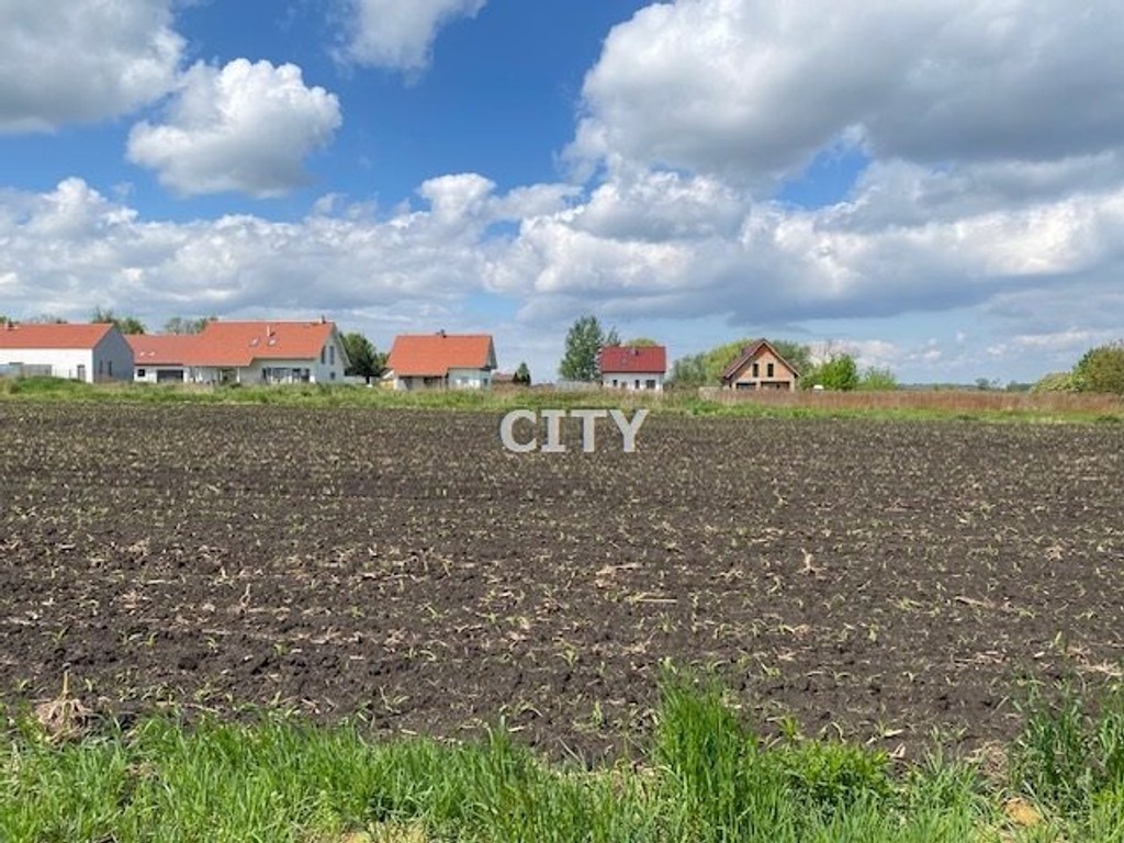 Działka budowlana Żórawina/Polakowice - Widok 5