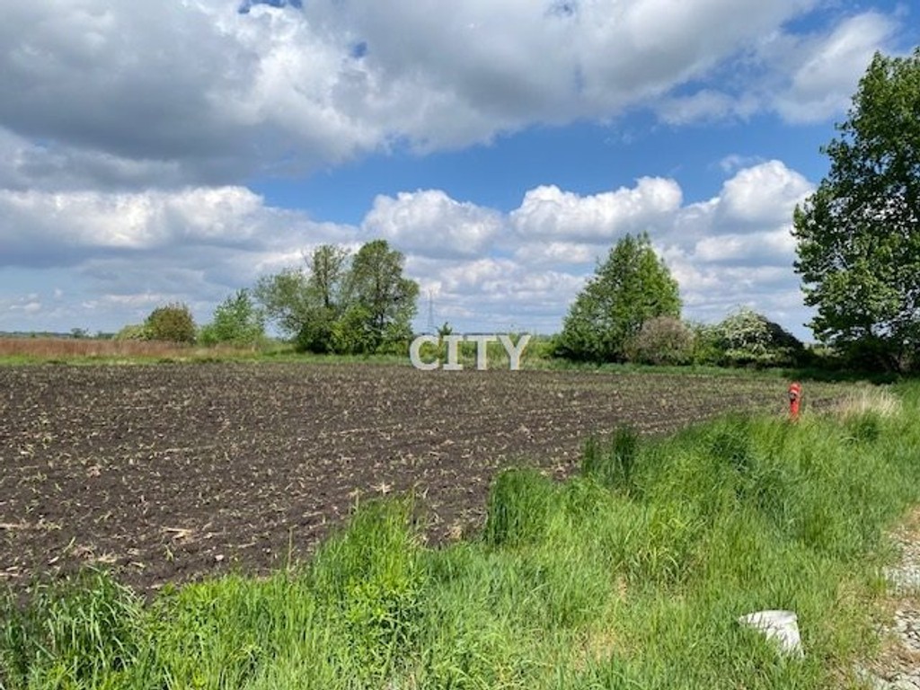 Działka budowlana Żórawina/Polakowice - Widok 6