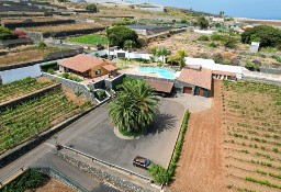 Dom San Cristóbal De La Laguna