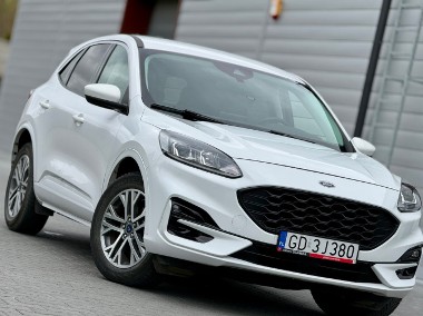 Ford Escape II-1