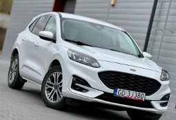 Ford Escape II