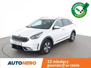 Kia Niro Plug-In skóra navi LED kamera i czujniki parkowania