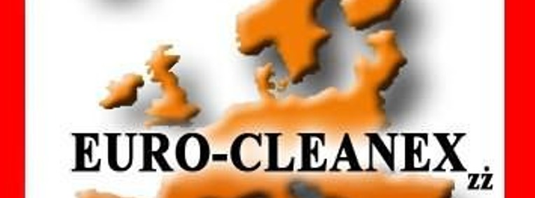 Euro-Cleanex świąteczne sprzątanie kraków-1