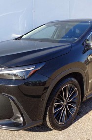 Lexus NX NX 14- 450h+ Omotenashi AWD NX 450h+ Omotenashi AWD 2.5 | Kamera 360-2