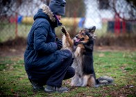 Hejże! Domku - gdzie jesteś? - przygarnij MacGyvera