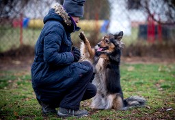 Hejże! Domku - gdzie jesteś? - przygarnij MacGyvera