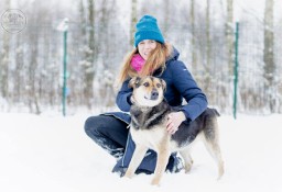 Piękna Sara czeka na swojego człowieka - przygarniesz?