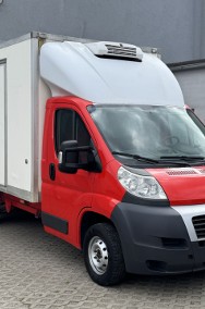 chłodnia, 2.3 MJT, THERMOKING, klimatyzacja !-2