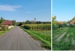 Sypndyk sprzeda nieruchomość gruntową niezabudowaną -pastwiska  Buczek/Gucin