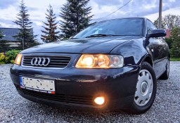 Audi A3 I (8L) klima-tronik 2001 rok 1.6 benzyna