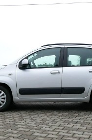 Fiat Panda III 1.2 69KM [Eu5] -Klima -Krajowy -1 Właśc -Nowy rozrząd +Koła zima-2