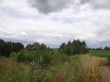 Działka rolna Hażlach, ul. Jastrzębska-1