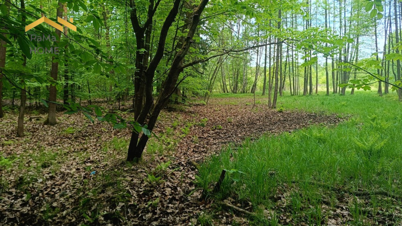 51 arów w otulinie Parku Tenczyńskiego - Więcej