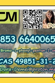 2-Bromo-1-phenyl-pentan-1-one  CAS 49851-31-2-2