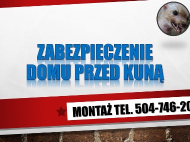 Ile kosztuje elektryczny pastuch na kuny?  Ochrona przed kuną.  Zabezpieczenie..-1