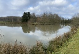 Działka inna Boult Aux Bois