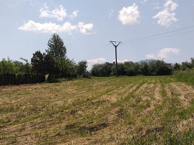 Działka rolna Wilkowice-1