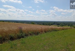 Działka inna Dąbrowa Górnicza Błędów, ul. Zagórze