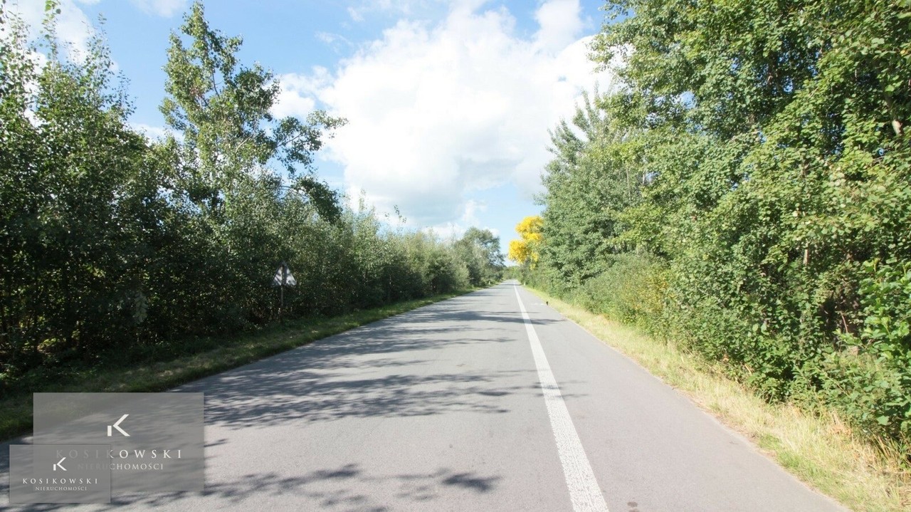 Duża działka blisko Namysłowa w uroczej okolicy - Widok 6