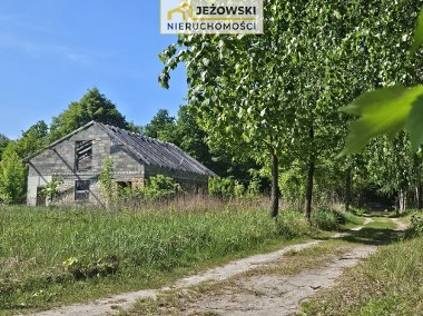 Działka/siedlisko pod lasem k.Janowca, budowa domu-1