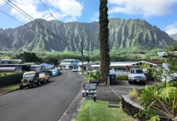 Dom Kaneohe