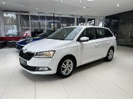 Skoda Fabia III Ambition, PDC, Tempomat, Salon PL, 1-wł, FV-23%, gwarancja, DOSTAWA