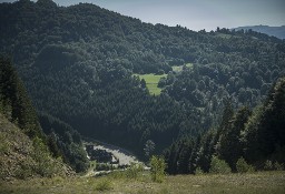 Grunt inwestycyjny na sprzedaż - 8,71 H , Szczawnica 