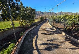 Dom Valsequillo De Gran Canaria