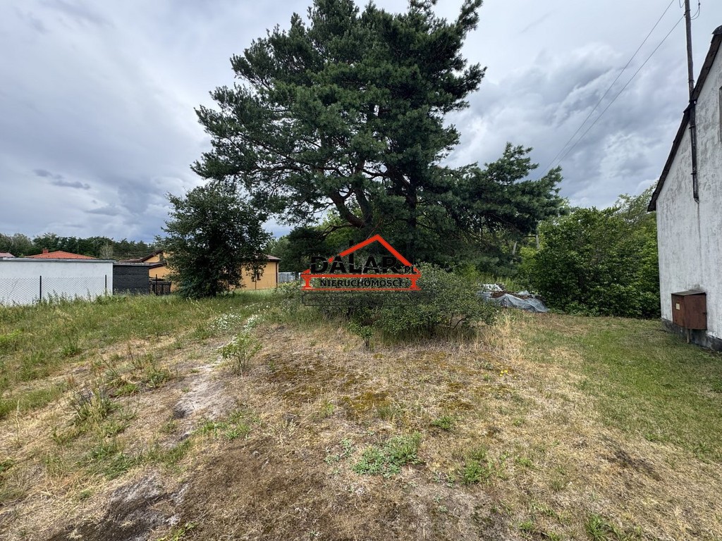 Działka w cichym miejscu | Wszystkie media | 5000 m² lasu - Widok 4