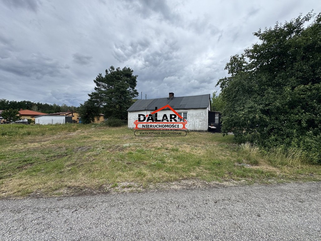 Działka w cichym miejscu | Wszystkie media | 5000 m² lasu - Widok 6