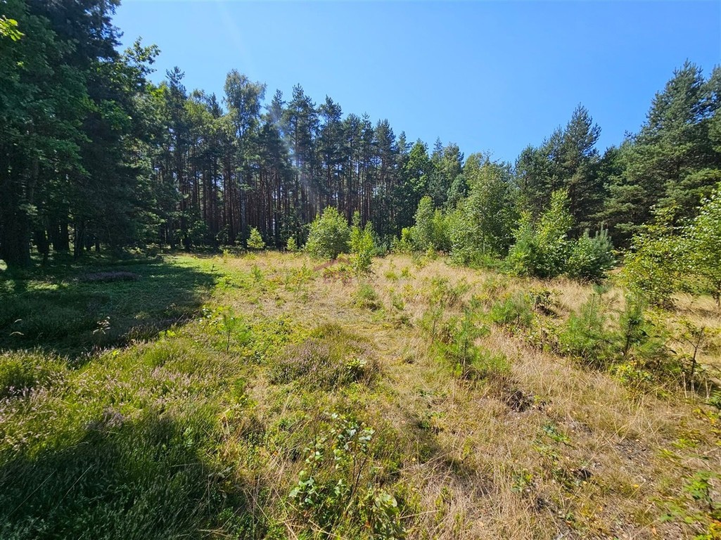 DZIAŁKA BUDOWLANA OŻAROWICE - OD RĘKI! – pohled 3