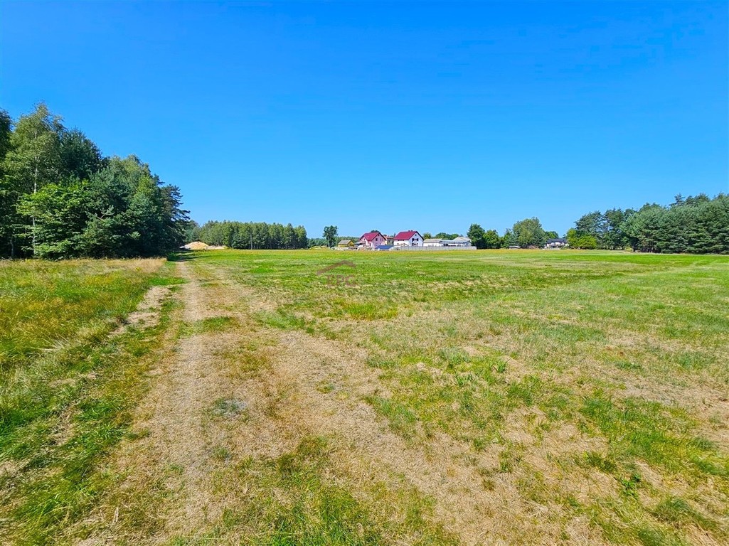 DZIAŁKA BUDOWLANA OŻAROWICE - OD RĘKI! – pohled 5
