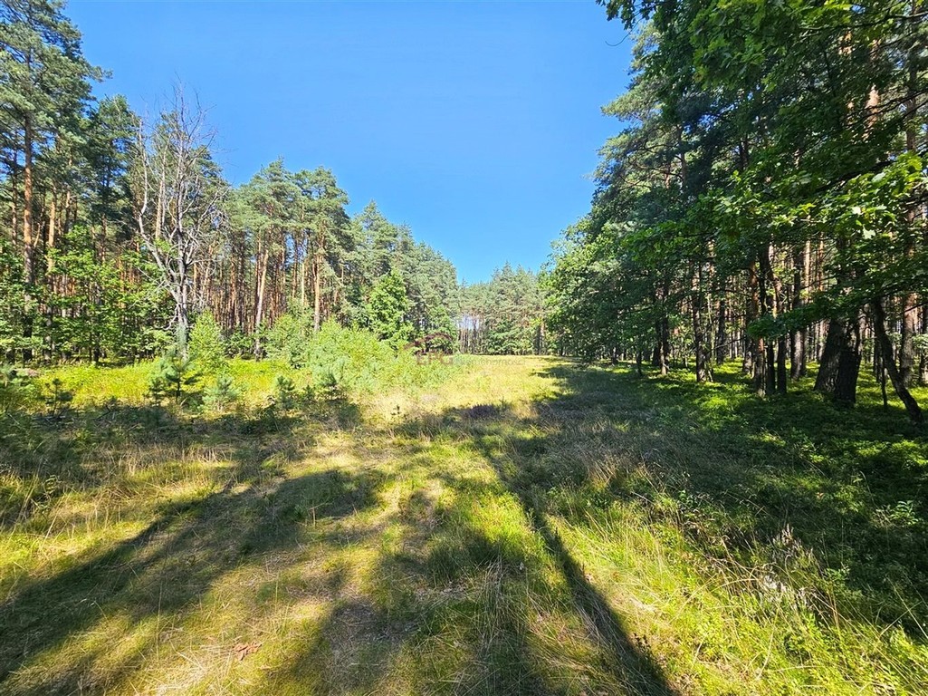 DZIAŁKA BUDOWLANA OŻAROWICE - OD RĘKI! – pohled 6